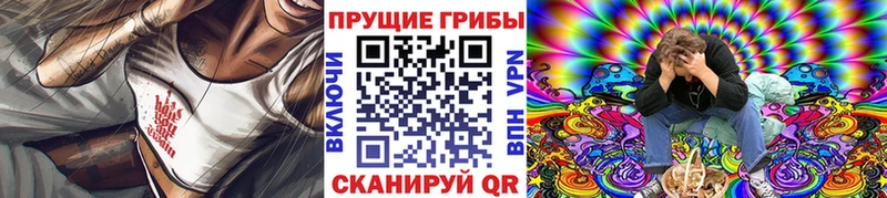 Купить закладки Кола Псилоцибиновые грибы ЛСД